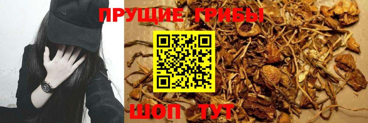 Назрань  Галлюциногенные грибы Magic Shrooms  Псилоцибиновые грибы мицелий  Вход с VPN 